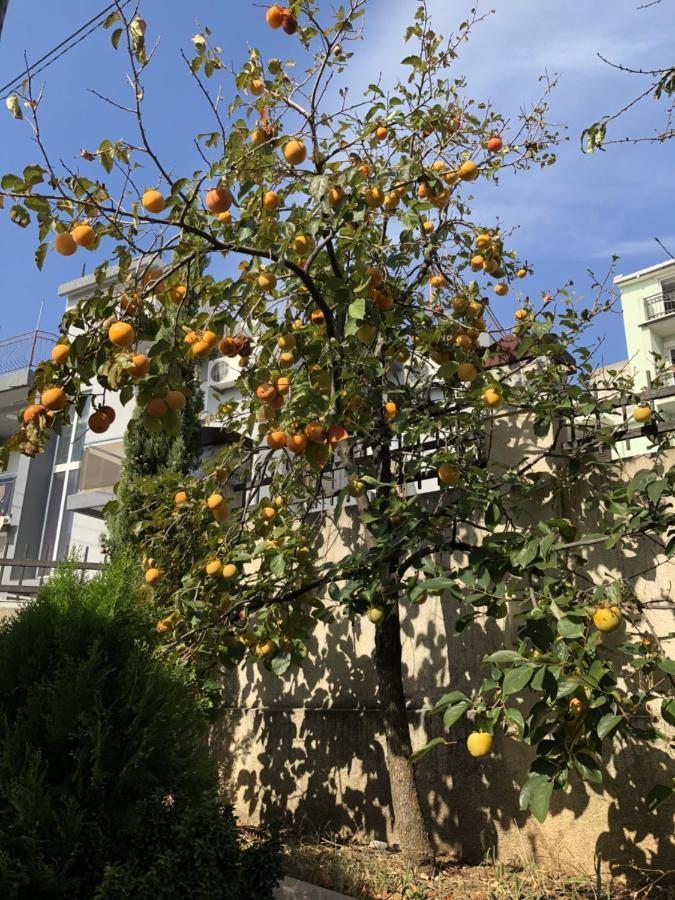 Holiday Home Barska Vila 外观 照片